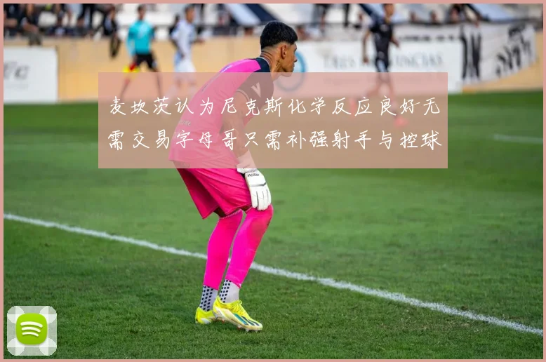 麦坎茨认为尼克斯化学反应良好无需交易字母哥只需补强射手与控球手