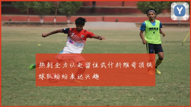 热刺全力以赴留住武什科维奇顶级球队纷纷表达兴趣